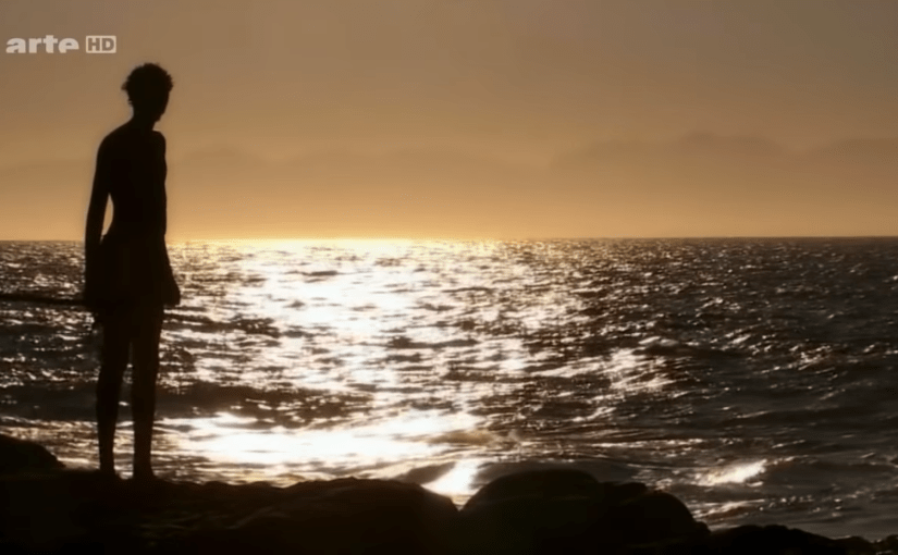 Was ist Evolution? (8) – Die Krone der&nbsp;Schöpfung?