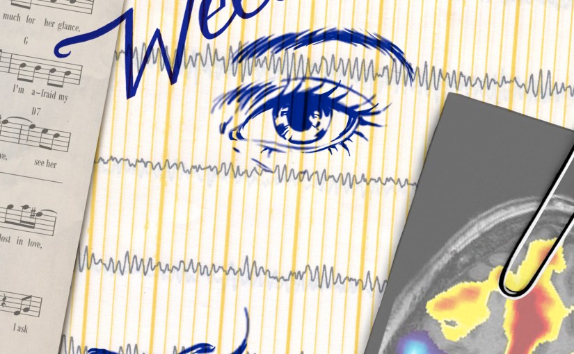 Ein philosophischer Roman und zwei&nbsp;Klappentexte